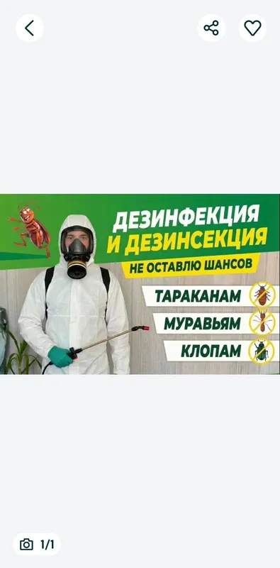 Дезинфекция домов, квартир.