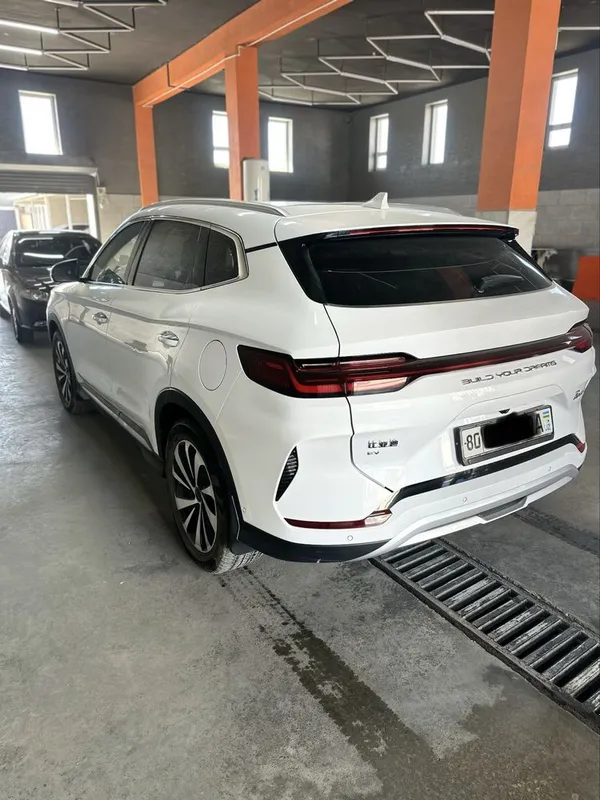 Byd chempion 605 eng fuli 7