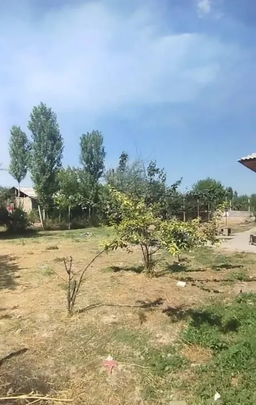 Продаётся Дача своя Таш область Аккурган рядом с рекой сирдарья 6-сот — фото 2