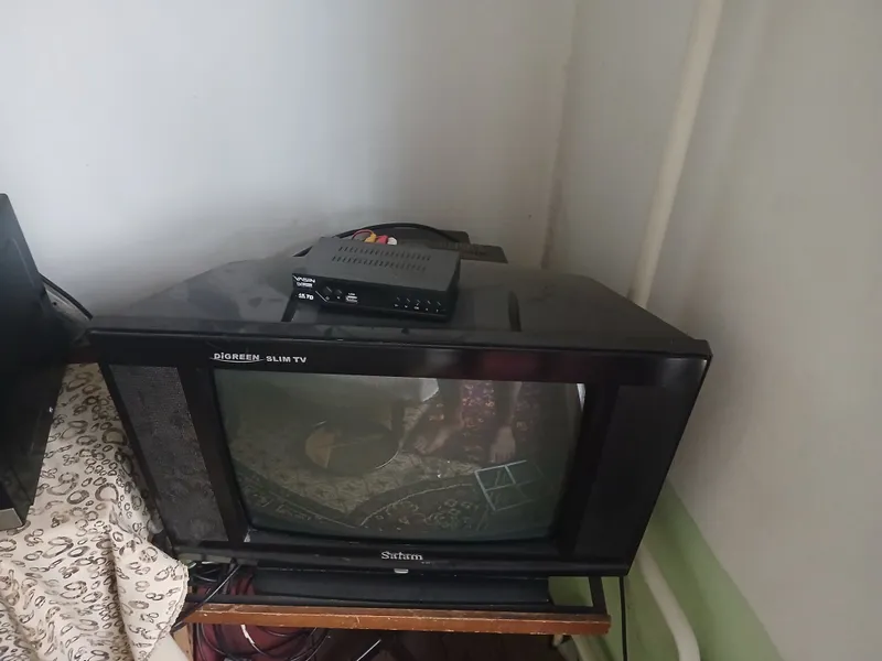 digreen slim tv tunelcasi bilan birga jizzaxshahar