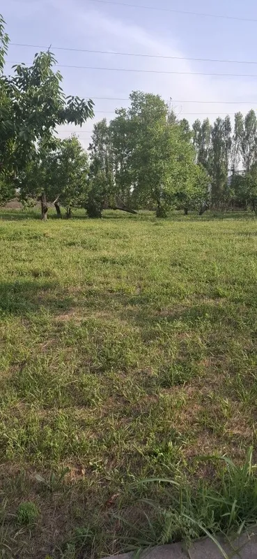 Томорка богли ер сотилади,