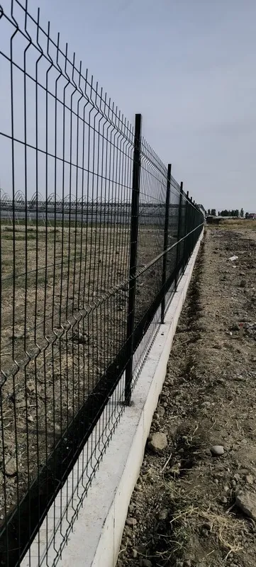 Yevrosetka 3D setka Еврозабор panellar — фото 6