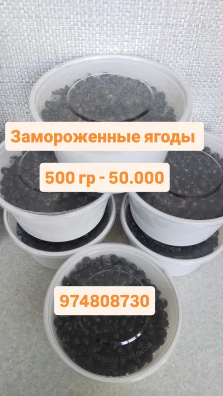 Смородина черная Иссыккуль 2