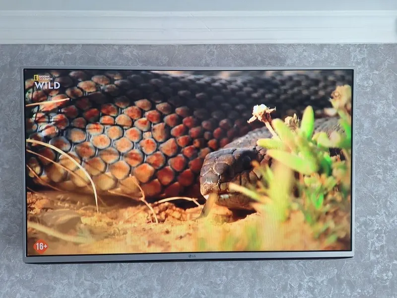 LG 43 smartmas + uzdigital karta — фото 2