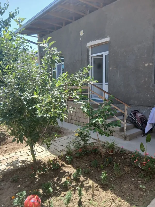 Keles Olmazor soylik 2 koʻcha 1 Keles Olmazor soylik 2 koʻcha 1