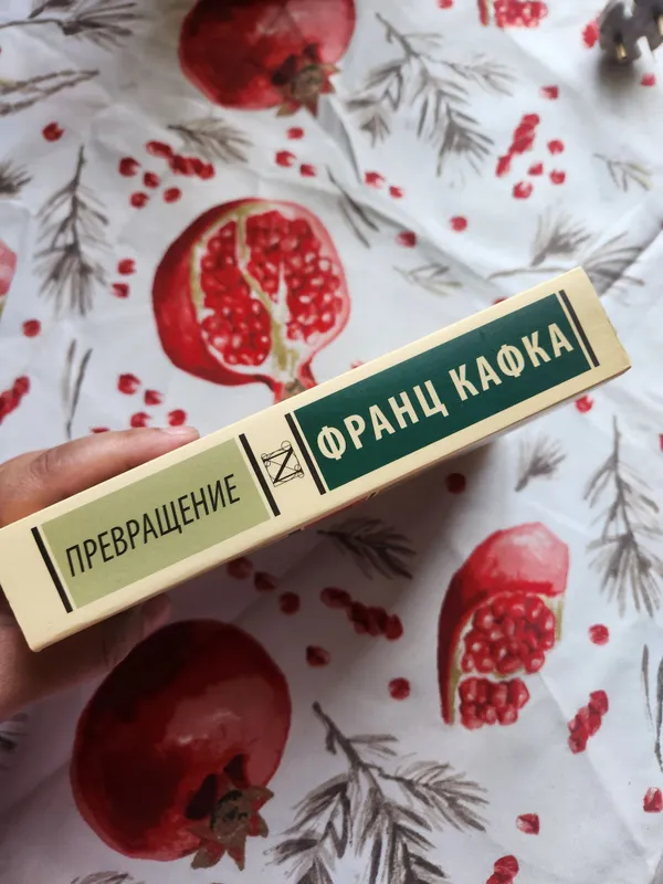 "Превращение" Франц Кафка — фото 2