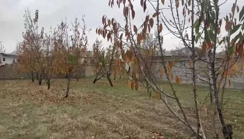 Срочно продается участок под застройку в Яшнабадском р-не (Тузель) — фото 2