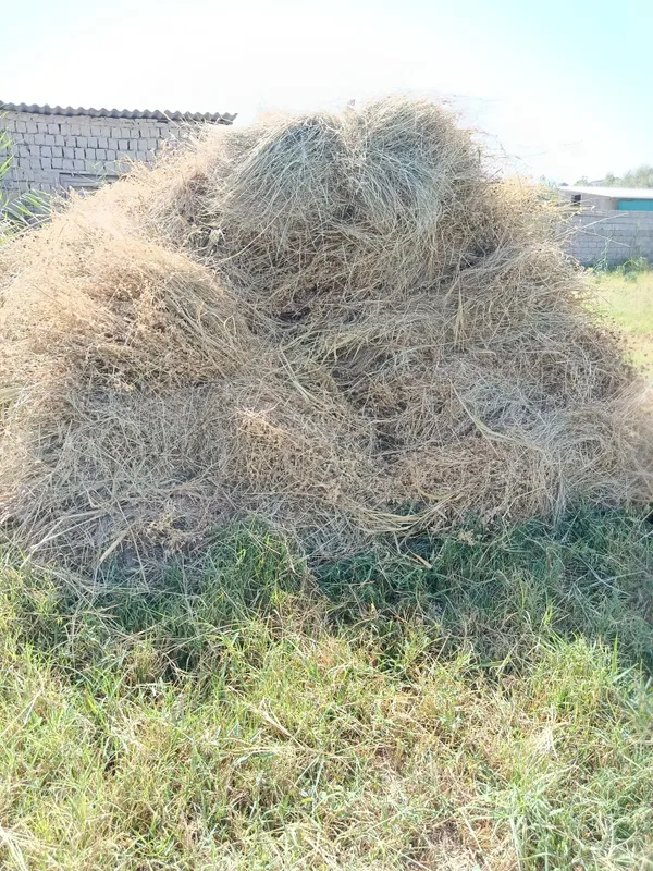 Beda srochni sotiladi 6