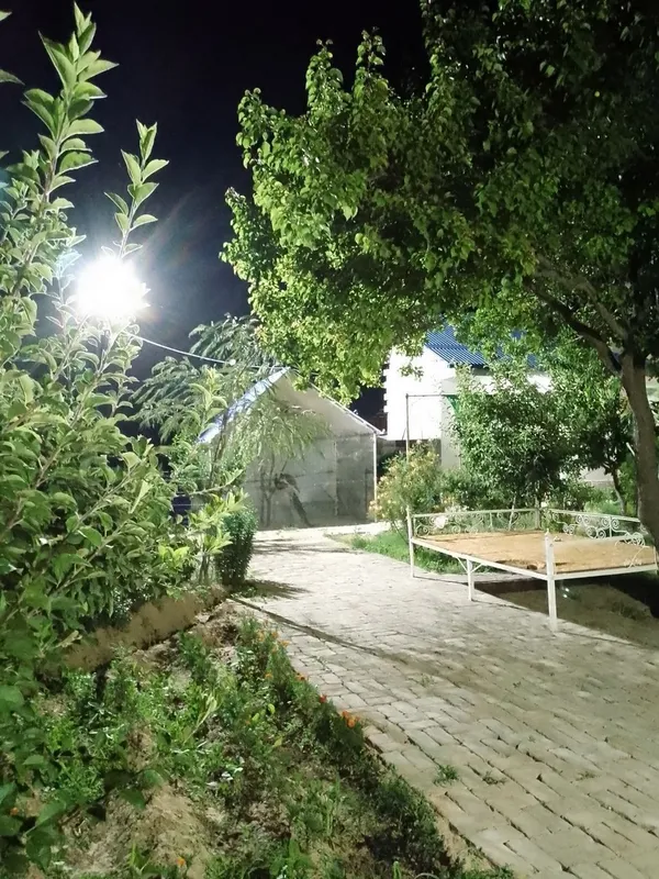 Dacha yangi hayot 8