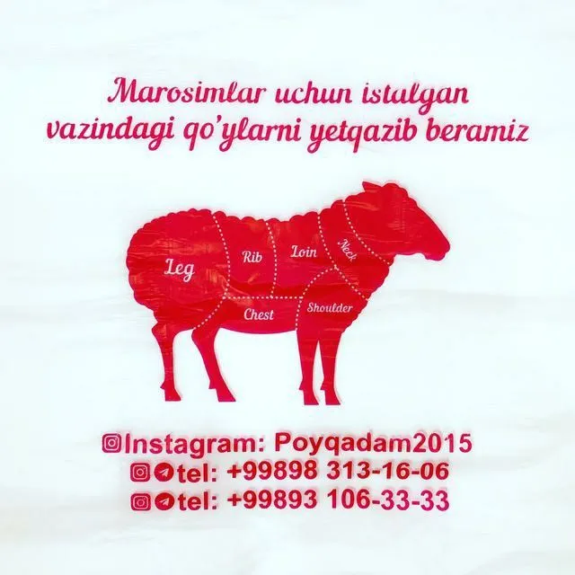 Qassob xzmati bor