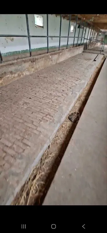 Chorva uchun tayyor molxona, yer,sklad va tayyor uylar — фото 8