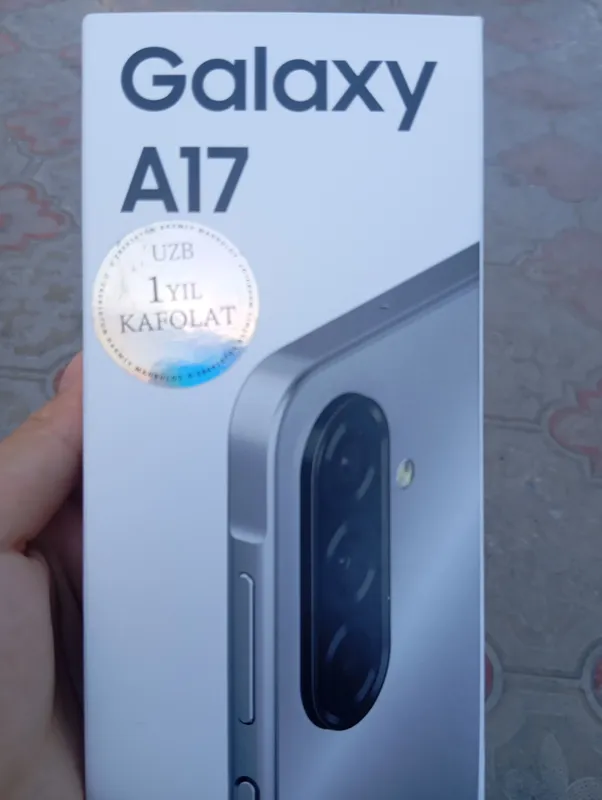 A17 A17