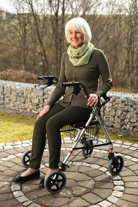 Прогулочная коляска RIDDER Walker ECO для пожилых людей 2