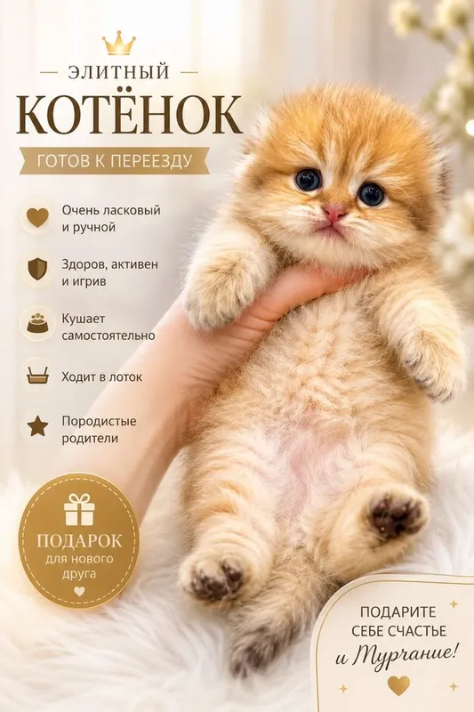 Продается мимишка фолд 2 Продается мимишка фолд 2