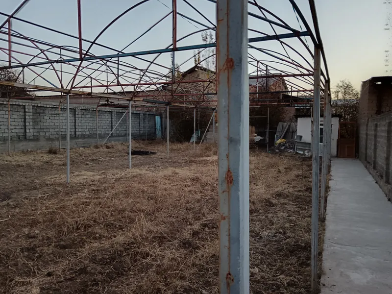 Теплица — фото 2