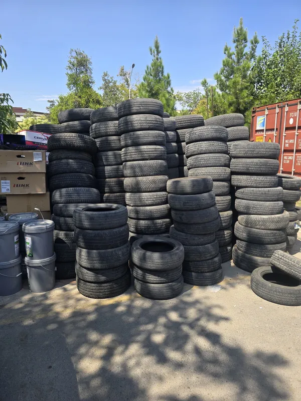 Отдам дарим Текинга берамиз кимга кере буса