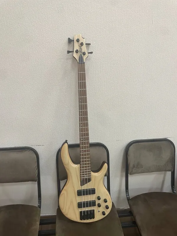 bass guitars