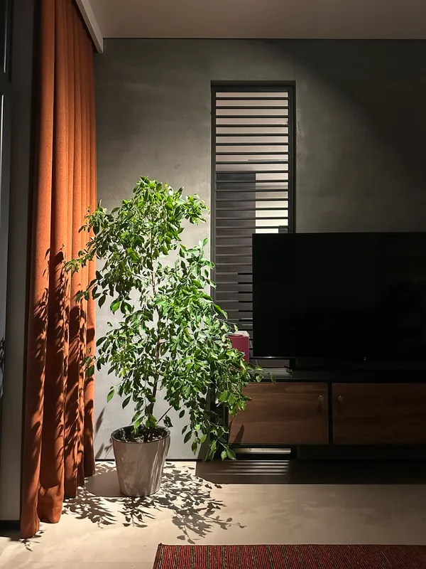 Premier House, Узбекфильм 73м — фото 4