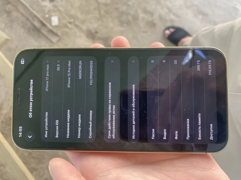 iPhone 12 Pro Max