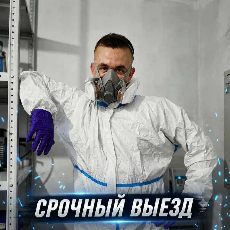 Dezinfeksiya xizmati | Дезинфекция 24/7 | Клопы тараканы | Выезд 1 час 2 Dezinfeksiya xizmati | Дезинфекция 24/7 | Клопы тараканы | Выезд 1 час 2