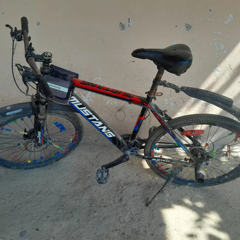 velosapet 1