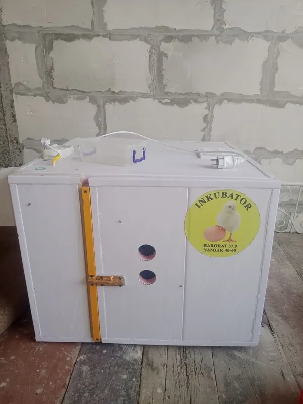 Инкубатор 175 тали автомат