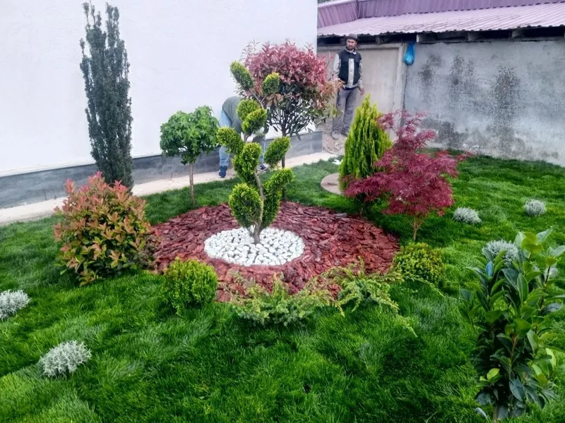 Gazon ekish Bo'bon gazon landshaft gul ekish dorilash xizmati — фото 3