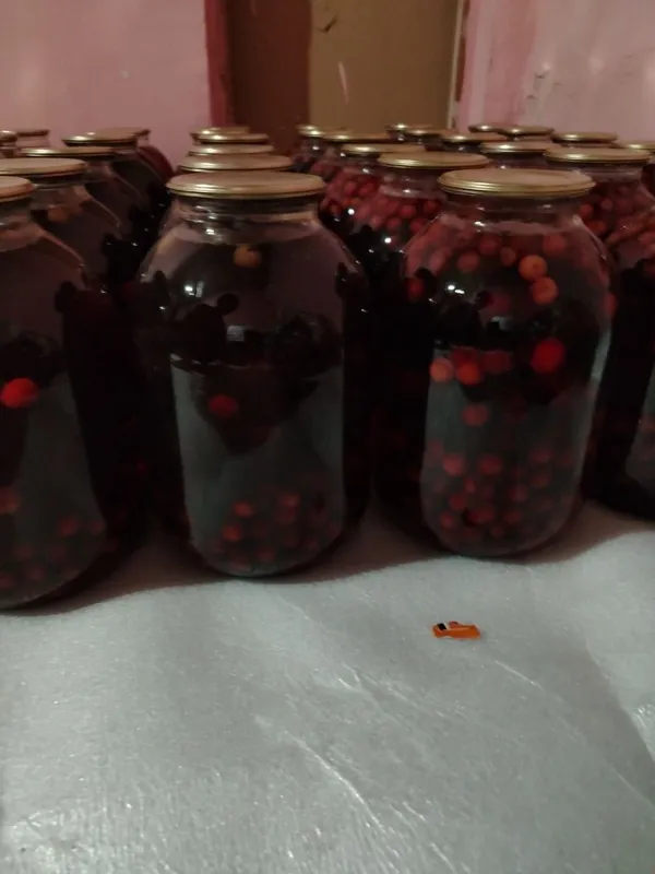 Мураббо ва кампотлар 3