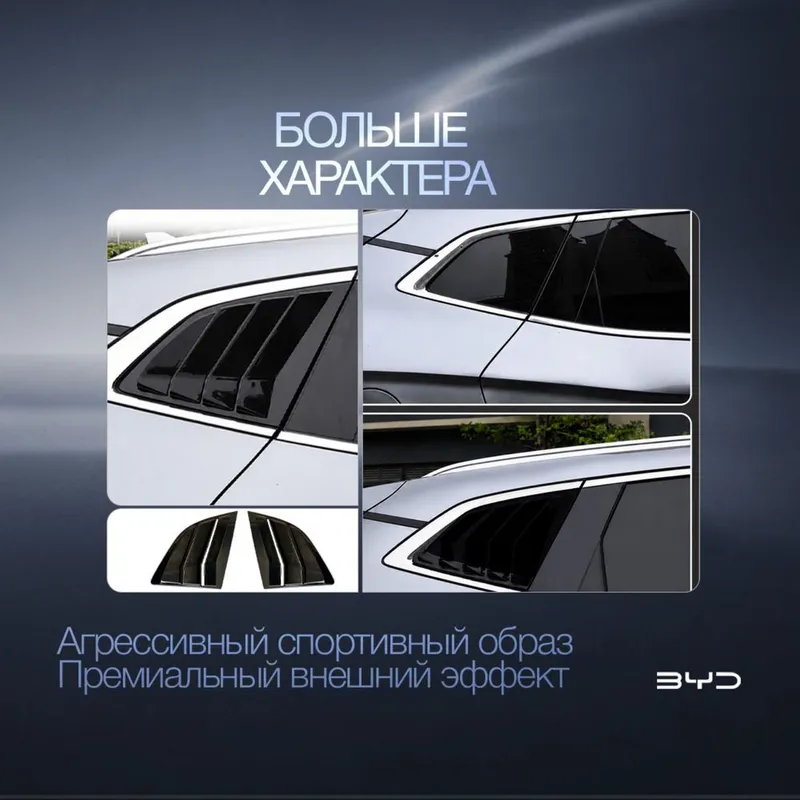Спортивная жабра для BYD Champion — фото 2
