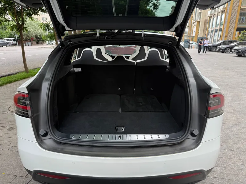 Tesla Model X 100D — фото 7