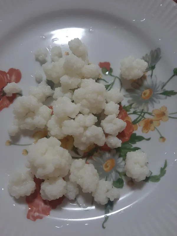 Продам Молочный гриб.