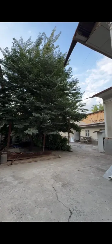 Продаётся дом по цене земли 5 Продаётся дом по цене земли 5