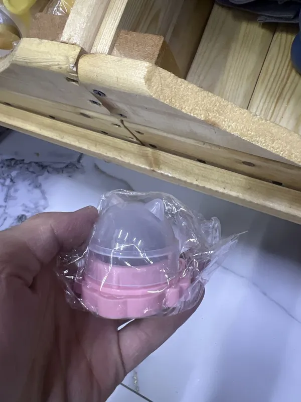 Мята для кошек чтобы успокоит кошки 1