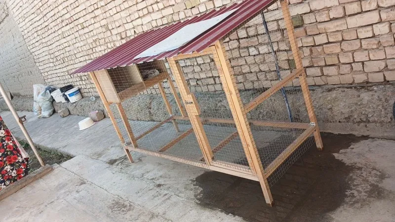 Tovuqlar uchun