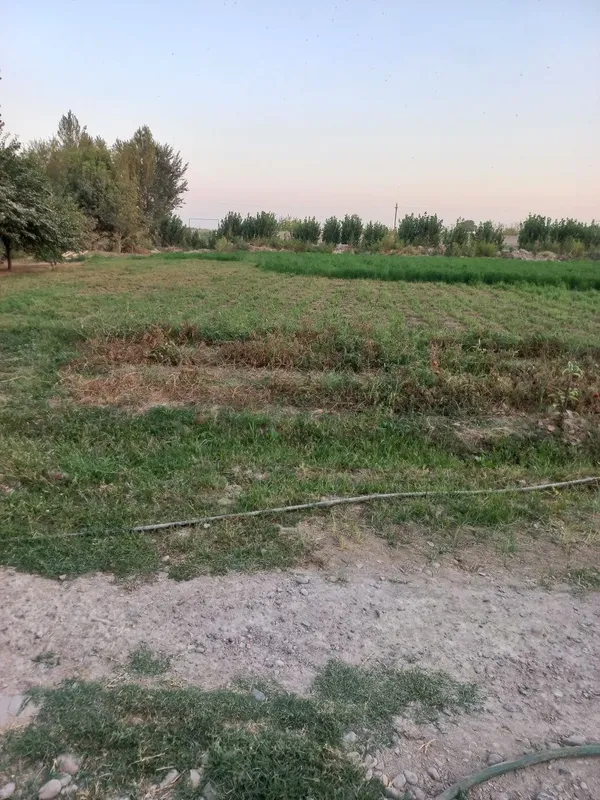 Участка сотилади — фото 6