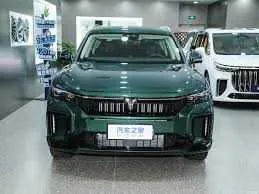 Voyah Free hybrid 318km 4WD