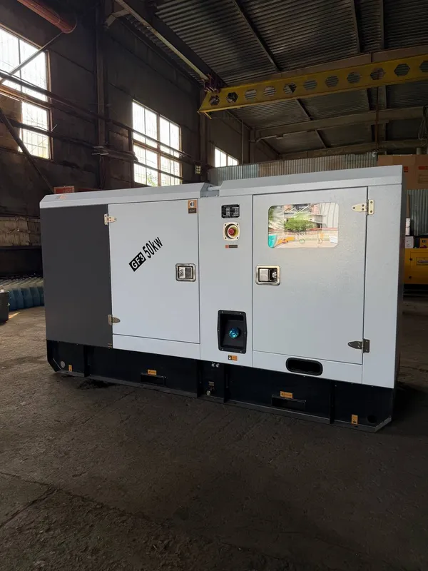 50 kw Generator (divijok)