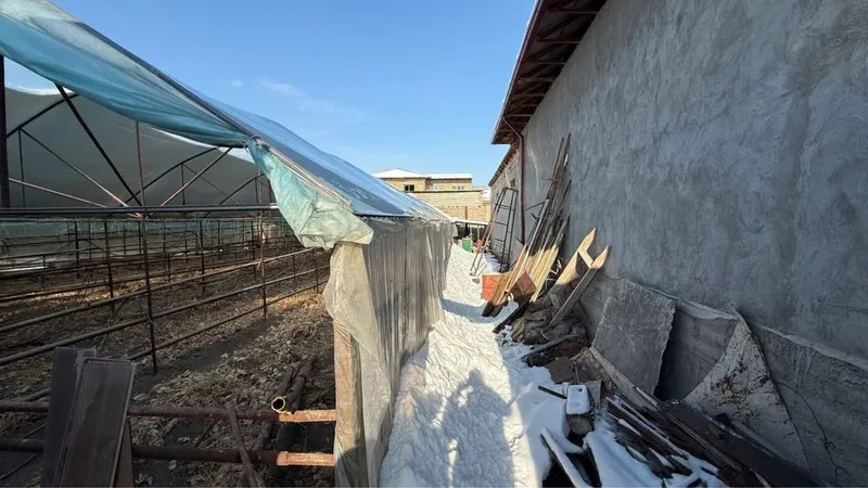 Yangi O’zbekiston, Mirzo Ulug’bek tum, Alisher obod mahallada yer — фото 2