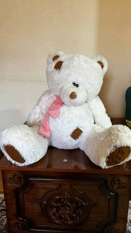 Oq teddy, juda chiroyli Oq teddy, juda chiroyli