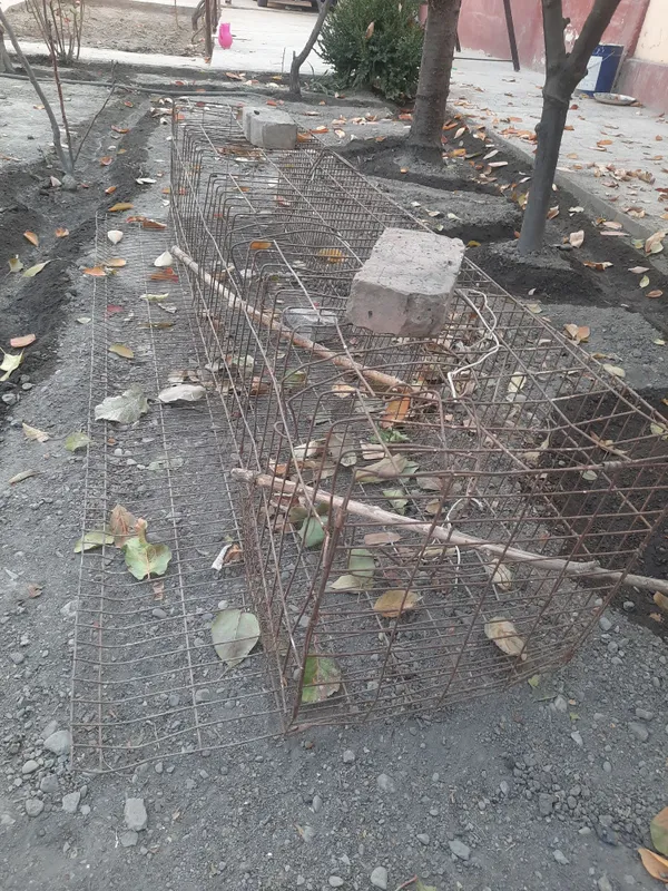 Tovuq va jo'ja boqish uchun qafas sotiladi 1 Tovuq va jo'ja boqish uchun qafas sotiladi 1