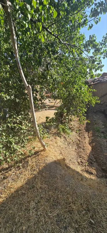 Tovoqsoyda hovli sotiladi  12 sotiğ rasimdagi holi — фото 4