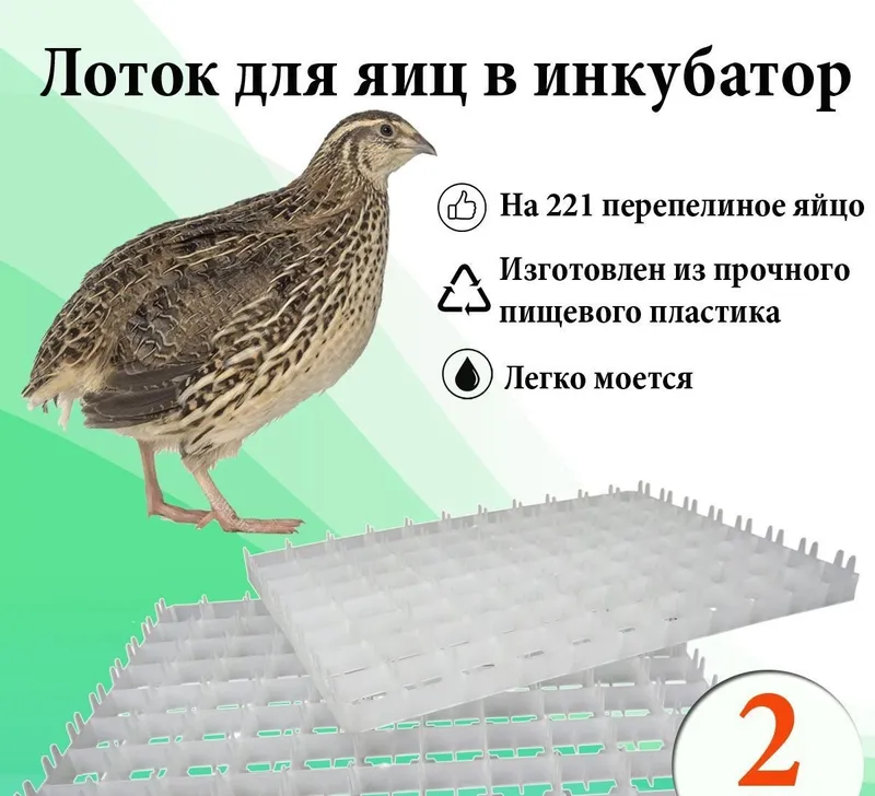 Специальные качественные заводские лотки для куриных и перепелиных яиц в продаже 2