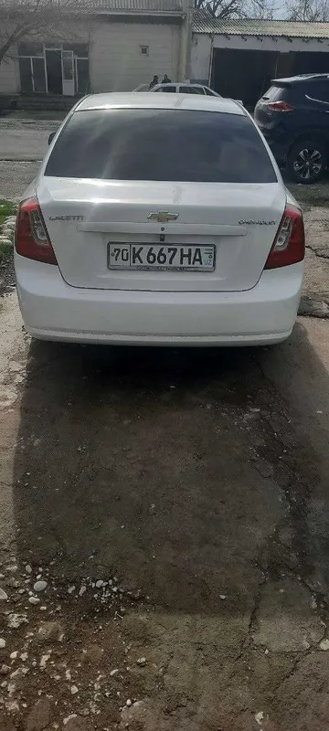 Jentra holati yaxshi ozgina orqa kriloda petno bor — фото 1