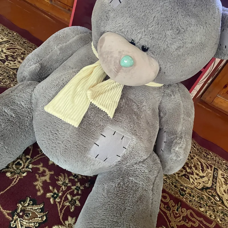 Teddy Juda katta Ayiq Srochnaga sotiladi — фото 1