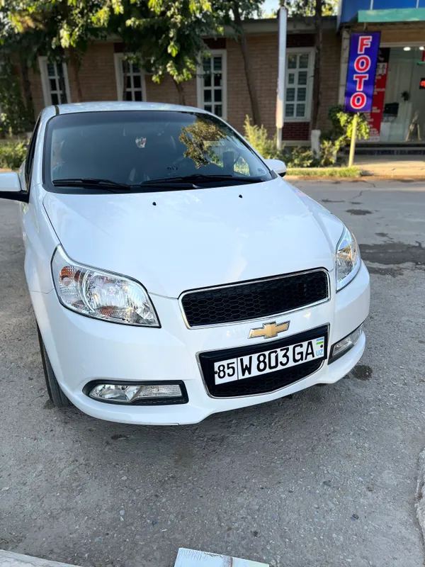 Moshina nexia 3 10