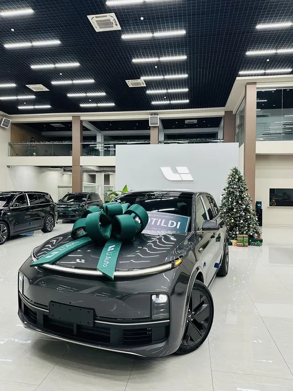Официалный диллер Li Auto “Control Auto” — фото 7
