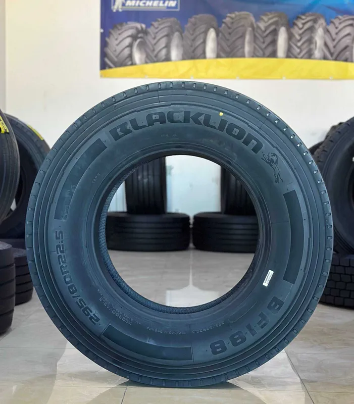 295/80 R22,5 BLACKLION — фото 1