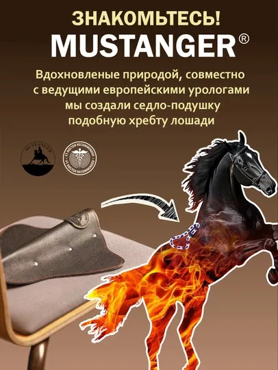 Mustanger ortopedik o'rindiq 3 Mustanger ortopedik o'rindiq 3