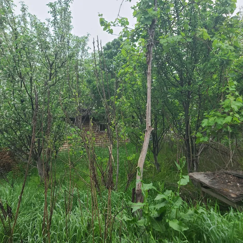 Продаётся дача-ферма 24 соток, dacha-ferma, 24 sotix sotiladi — фото 7