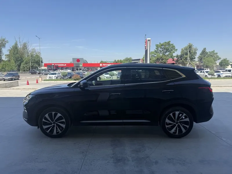 byd champion все цвета 2026 год 3 byd champion все цвета 2026 год 3